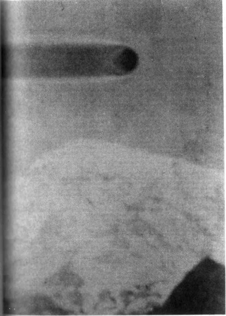 Scanned page 403 of the original book